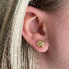 Load image into Gallery viewer, Capeology Sand Dollar Earring