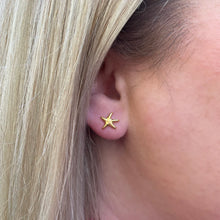 Load image into Gallery viewer, Capeology Starfish Earring