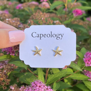 Capeology Starfish Earring