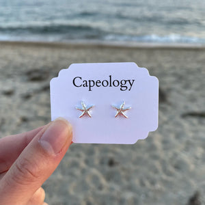 Capeology Starfish Earring
