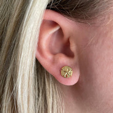 Load image into Gallery viewer, Capeology Sand Dollar Earring
